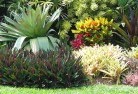 Manifold Heightstropical-landscaping-9.jpg; ?>